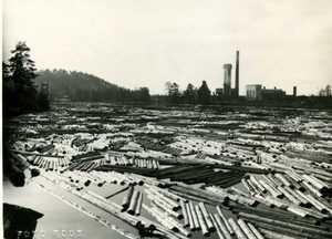 Paper wood at Koskikeskinen in 1938. Photo: Foto Roos.