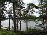   2_Kuoreselka