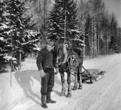 Antero Salminen ja Seppo-hevonen 1960-luvun alussa