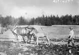 Tuntematon,  (c) Keski-Suomen museo,  Rauta-aurojen yleistyminen tehosti maan muokkaamista huomattavasti.