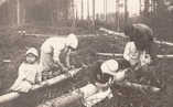 Tuntematon,  (c) Kuorevesi-Seura ry,  Perhe kiskoo pettua männystä 1917, jolloin Suomessa jouduttiin vielä monin paikoin turvautumaan hätäleipään.