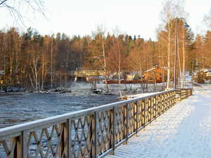 PICT2358.JPG