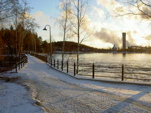 PICT2365.JPG