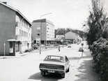 Pauli Nevalainen,  (c) Museo24, Pauli Nevalaisen kokoelma,  koivuti.jpg