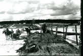 0022_a_salonen_s__yryl___4_500007.jpg