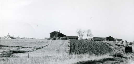 Puukila 1962
