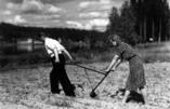   Plough