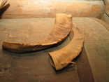   Shepherd horn, made from goat horn