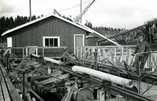   Olkkola sawmill log sorting and bunching plant in 1962.