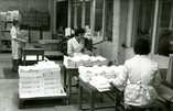   The stapling section of the processing department in 1965. The exercise book stapling machine stapled the folded sheets together.