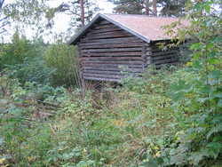 Kuva: K. Vesteri