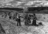   43_elopellolla_1952.jpg
