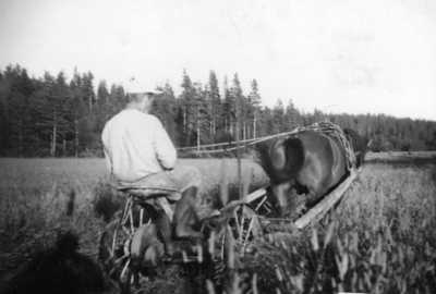 Kuva: Juho Ala-Haaviston arkisto