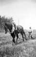   Ploughing