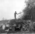   Juhannuskokkotalkoot vuonna 1958