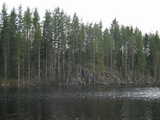 Uunikallio