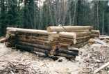 Suinulan kyläyhdistys,  (c) Suinulan kyläyhdistys,  24_laavu1.jpg