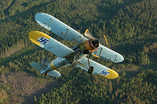 Jyrki Laukkanen,  (c) Jyrki Laukkanen,  Gloster Gauntlet Mk. II GT-400 above forest district.