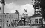 Pentti Lapinkivi,  (c) Museo24,  07b_Sellu_1950-l120.jpg