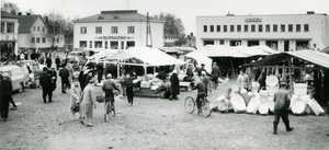 Jamsan_tori_1958