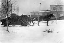 Halkokuorma (noin 1930)