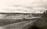   Fields on Rekola farm, owned by Jämsänkoski mill, in summer 1935.