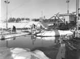   In winter time, logs brought in by floating first had to be prised out of the ice and broken up in front of the cutting plant. Kaipola log reception in the 1950s.